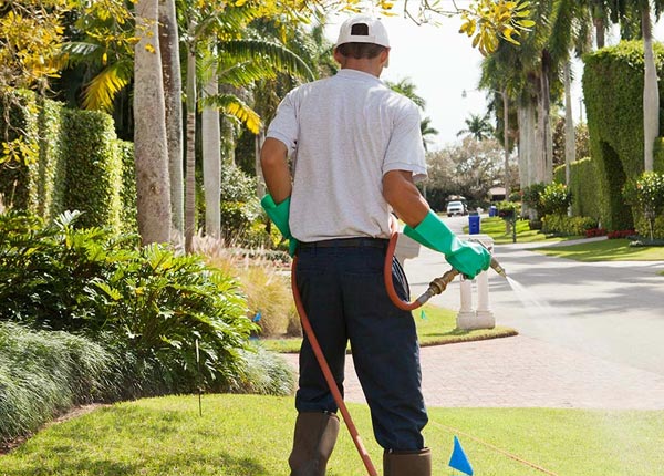About Houston PA Pest Control Pros